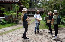 From Bogota Excursion to Finca de Cafe