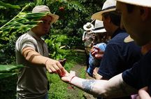 From Bogota Excursion to Finca de Cafe