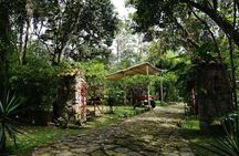 From Bogota Excursion to Finca de Cafe