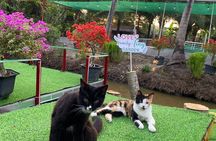 Exclusive CuChi Tunnels & Mekong Delta Cruise Full Day Experience