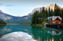 8 Iconic Stops. 12 Comfy Seats. See Banff's Best in First Class.