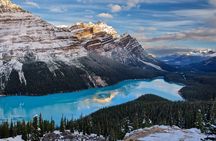 8 Iconic Stops. 12 Comfy Seats. See Banff's Best in First Class.