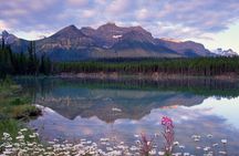 2-3 Days Lake Louise Moraine Gondola Johnston Canyon Icefield