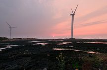 Olle Trail Sunset Tour in Jeju Island 