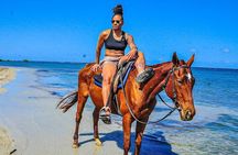 Horseback Ride & Swim Jamaica/Montego Bay