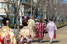 Private Kimono photo shooting tour in ancient city Kamakura