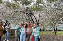 PRIVATE 6hr, Food tour from Osaka Castle, Kuromon, Dotonbori. 