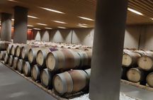 Private Tour in Nafplio with Wine Tasting Tour in Nemea. 