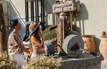 Olive Oil Tasting & Olive Mill Tour