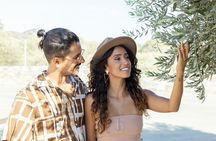 Olive Oil Tasting & Olive Mill Tour