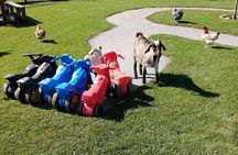 Family Friendly Wine Tour Cape Town 