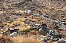 Gaumukh Tapovan Trek (Source of Ganga)