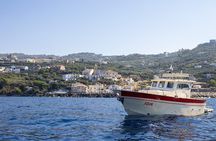 Shared capri tour ,swimming and visit of many caves
