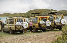 6 Days Serengeti Big Five Mid-Range Lodge Safari in Tanzania