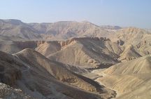 Day trip to West Bank and King Tutankhamen Tomb 