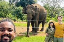 Ella Day Trip with Train Ride Waterfalls and Tea Factory Tour