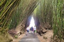 Unmissable and Unforgettable Visits to Reunion Island