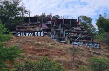 Guided Visit to Commune 20 in Cali