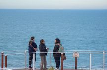 Excursion to the Valdés Peninsula from Puerto Madryn