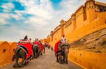Same Day Tour of Taj Mahal with Our Real Historical Experience