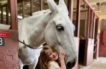 Mules in New Orleans Barn Tour