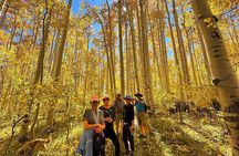 Privately Guided Scenic Mountain Hike