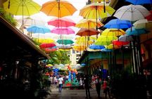 Full Day Guided Excursion with Private Driver exploring Mauritius