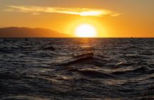 2 Hours Catamaran Sunset Tour