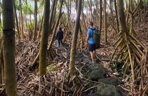 Secret Tide Pool Hike - Jungle & Coast - Private