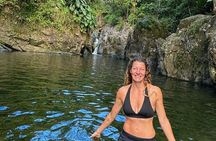 Private El Yunque Rainforest Day Tour with Transport