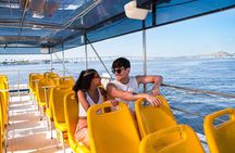Rio de Janeiro Sightseeing Cruise with Morning and Sunset Option 