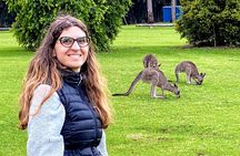 WILD Wombat and Kangaroo Day Tour, All Inclusive