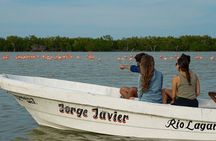 Boat tour in Río Lagartos Natural Reserve, with Food