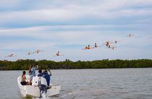 Boat tour in Río Lagartos Natural Reserve, with Food