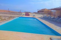  Agafay dinner show camel ride