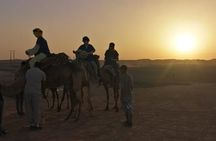  Agafay dinner show camel ride