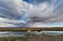 Private experience Biking in the Uyuni Salt Flats