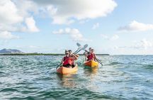 Guided E-Bike and Kayak Tour to Mokulua Islands in Kailua, Oahu