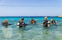 PADI Advanced Open Water Course in 2 days Including Night Dive