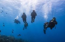 PADI Advanced Open Water Course in 2 days Including Night Dive