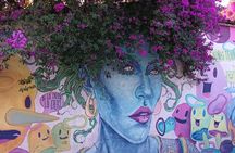 Bicycle Tour through Oaxaca learning about its Urban Art and History