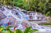 Dunns River Falls and Blue Hole Private Tour From Montego Bay