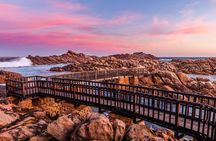 Perth to Margaret River Wineries & Sightseeing 1 Day Tour 