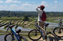 Experience Cycling Tour to Bali UNESCO Heritage Site in Jatiluwih