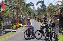 Experience Cycling Tour to Bali UNESCO Heritage Site in Jatiluwih