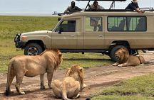 7 Days Private safari Tour in Tanzania