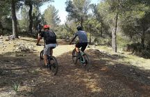MTB guided tour in Bellver forest and Na Burguesa m.(E-MTB avai.)