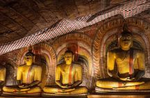 14 Days Travel in Sri Lanka with Accommodation