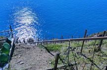Vineyard Tour with Wine Tasting in Cinque Terre
