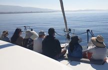 Athens Riviera Catamaran tour with fresh Meal Drinks and Swimming